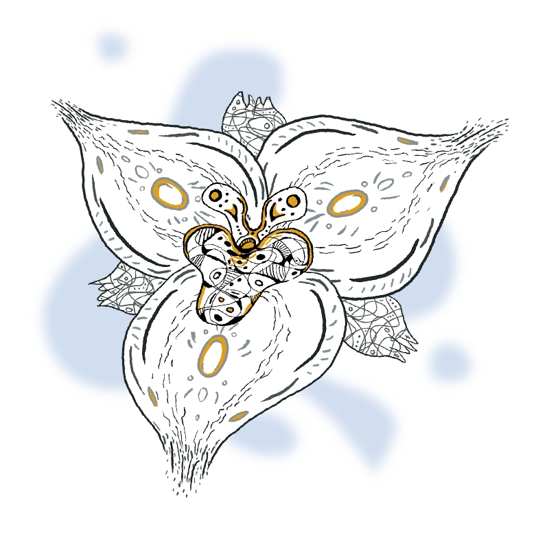 Flower illustration